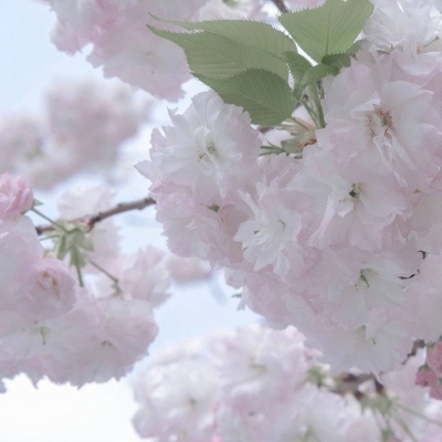 兽设配色实用搭配指南兽圈社群